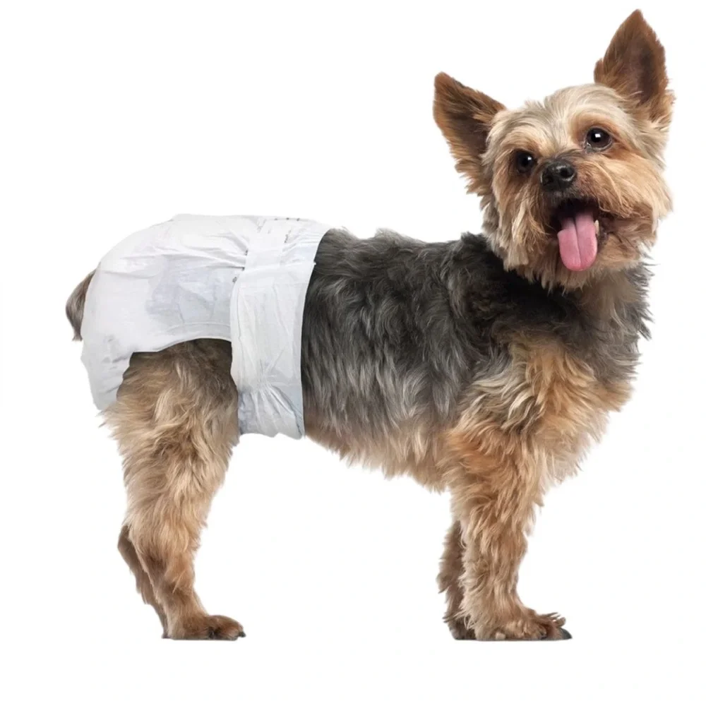 🌟NEW🌟 Paw Inspired Super Absorbent Disposable Diapers - Size XS